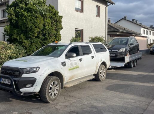 6. Transporte 6. Transporte