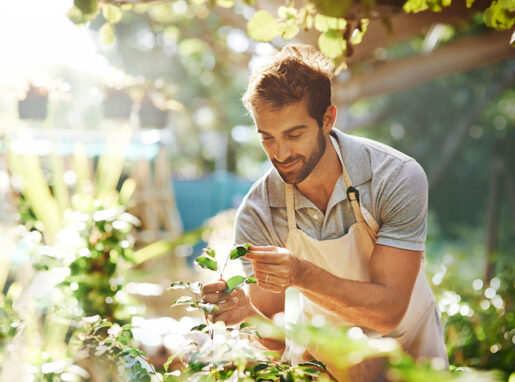 gartenbauberatung gartenbauberatung