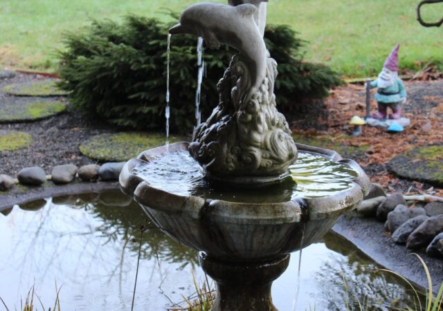 1.2. Teichbau und Pflege